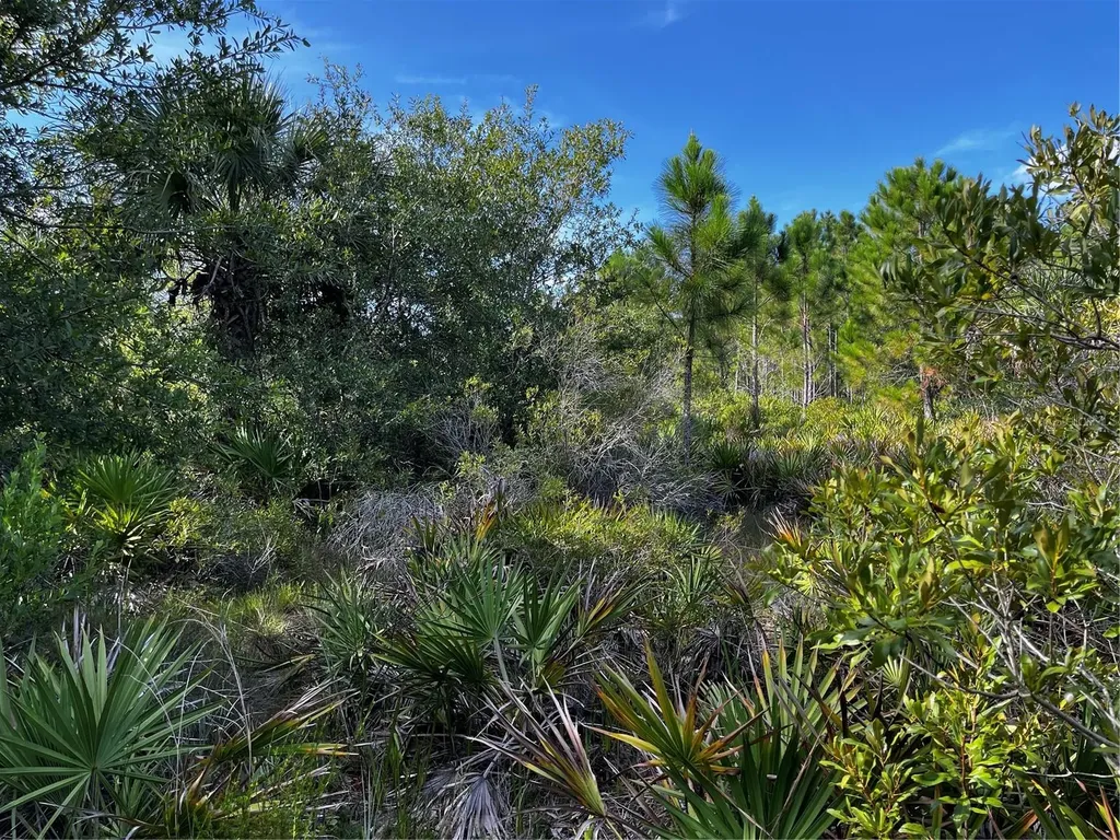 50204 Bermont Road Punta Gorda FL 33982