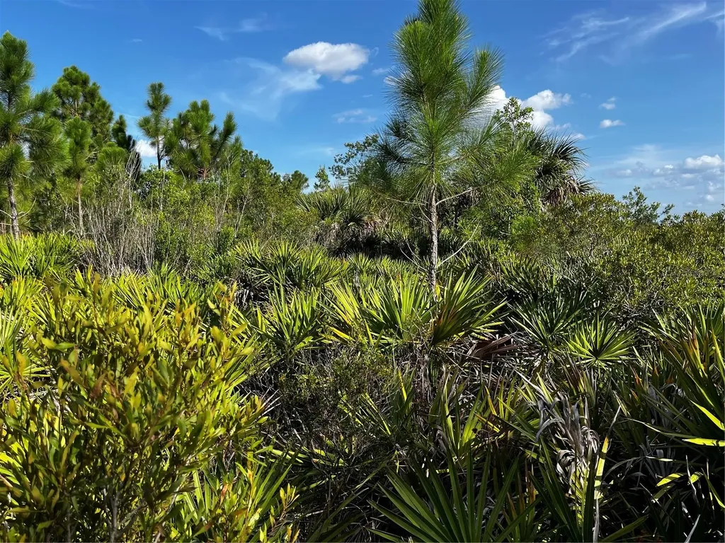 50204 Bermont Road Punta Gorda FL 33982