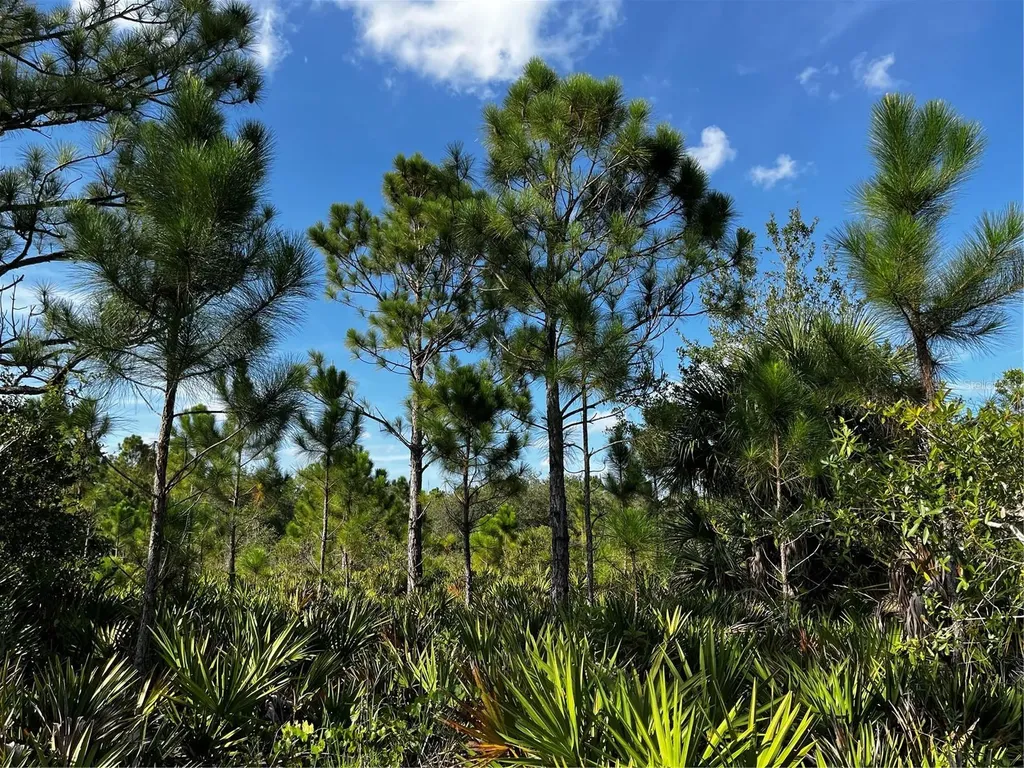 50204 Bermont Road Punta Gorda FL 33982