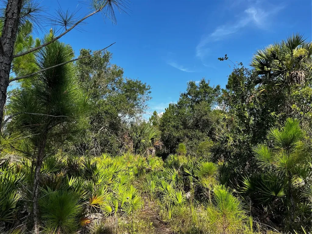 50204 Bermont Road Punta Gorda FL 33982
