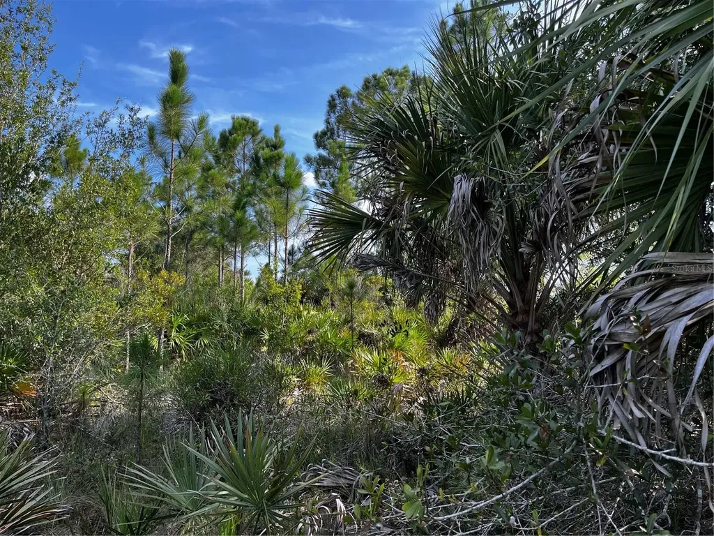 50204 Bermont Road Punta Gorda FL 33982
