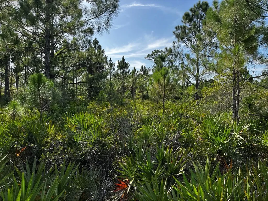 50204 Bermont Road Punta Gorda FL 33982