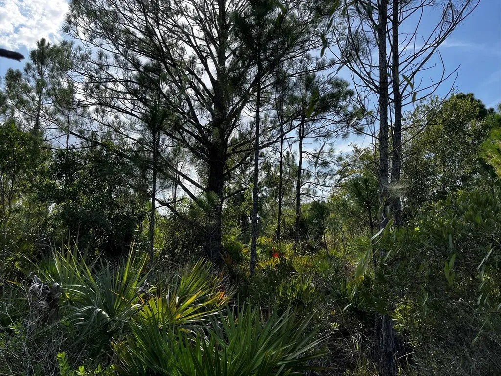 50204 Bermont Road Punta Gorda FL 33982