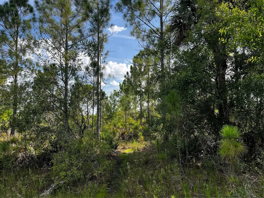 50204 Bermont Road Punta Gorda FL 33982