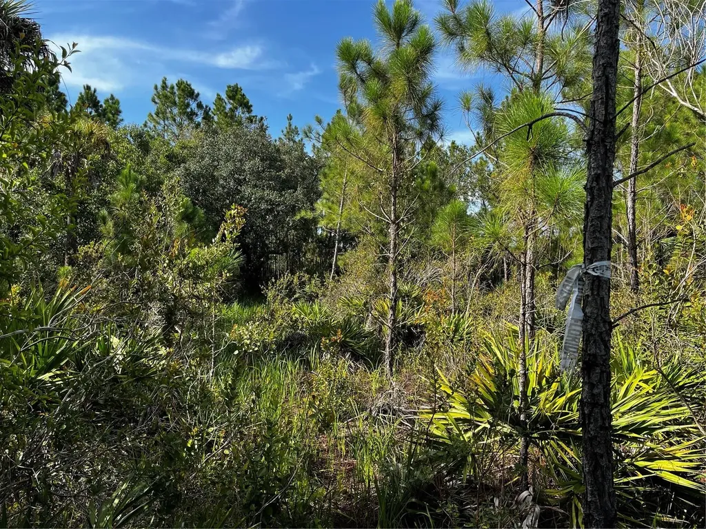 50204 Bermont Road Punta Gorda FL 33982
