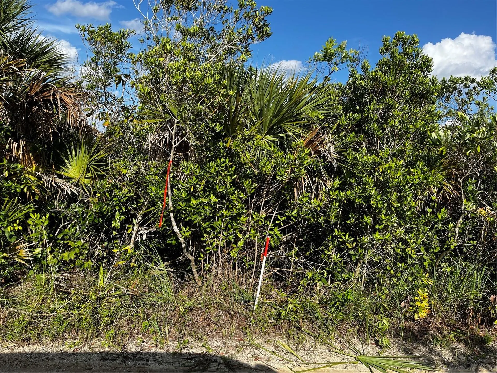 50204 Bermont Road Punta Gorda FL 33982
