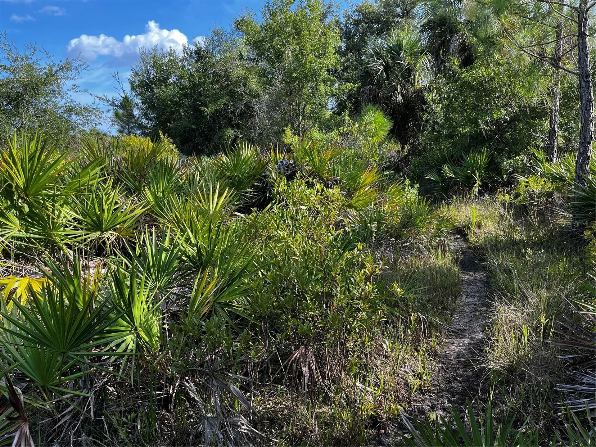 50204 Bermont Road Punta Gorda FL 33982