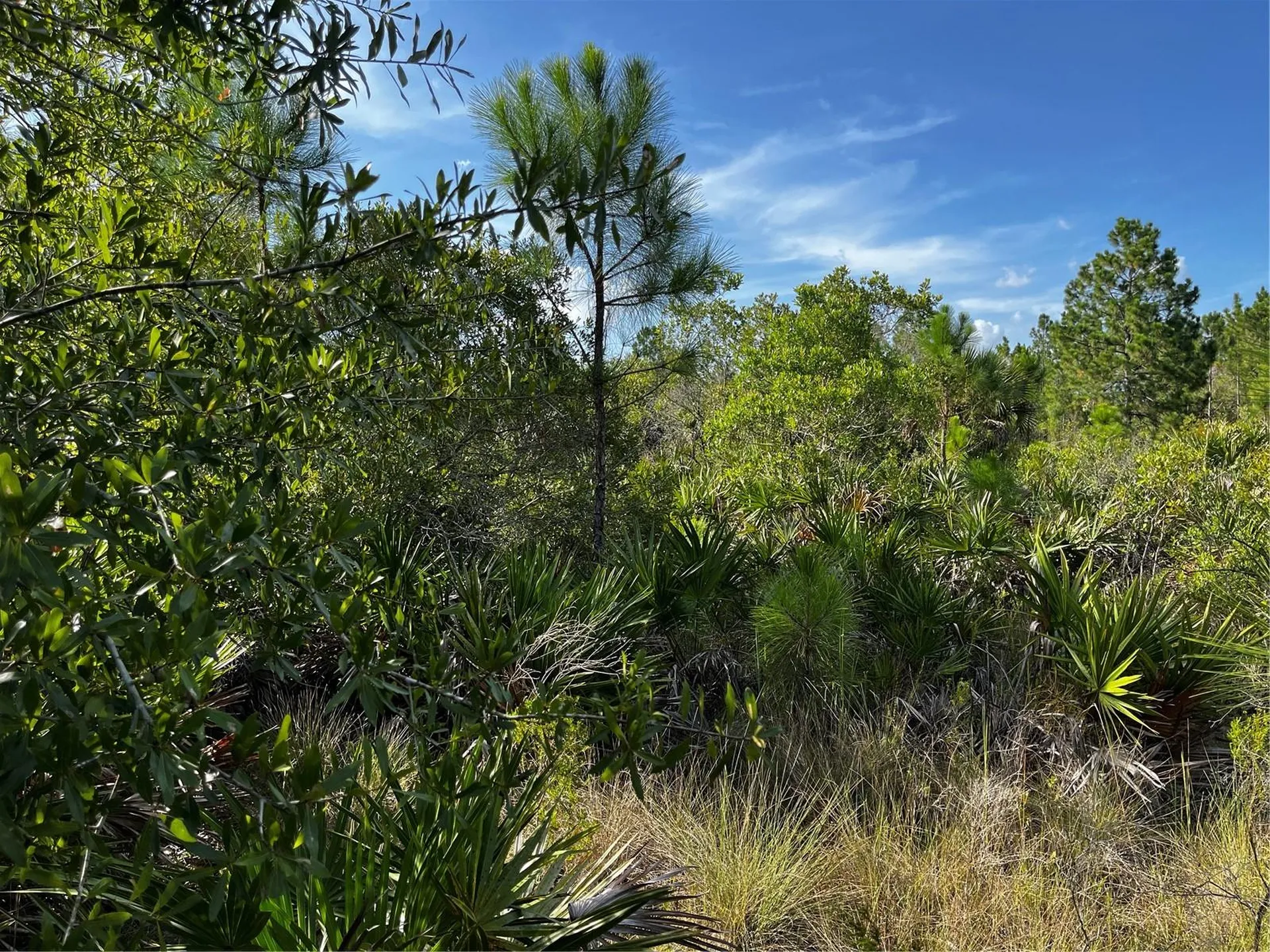 50204 Bermont Road Punta Gorda FL 33982
