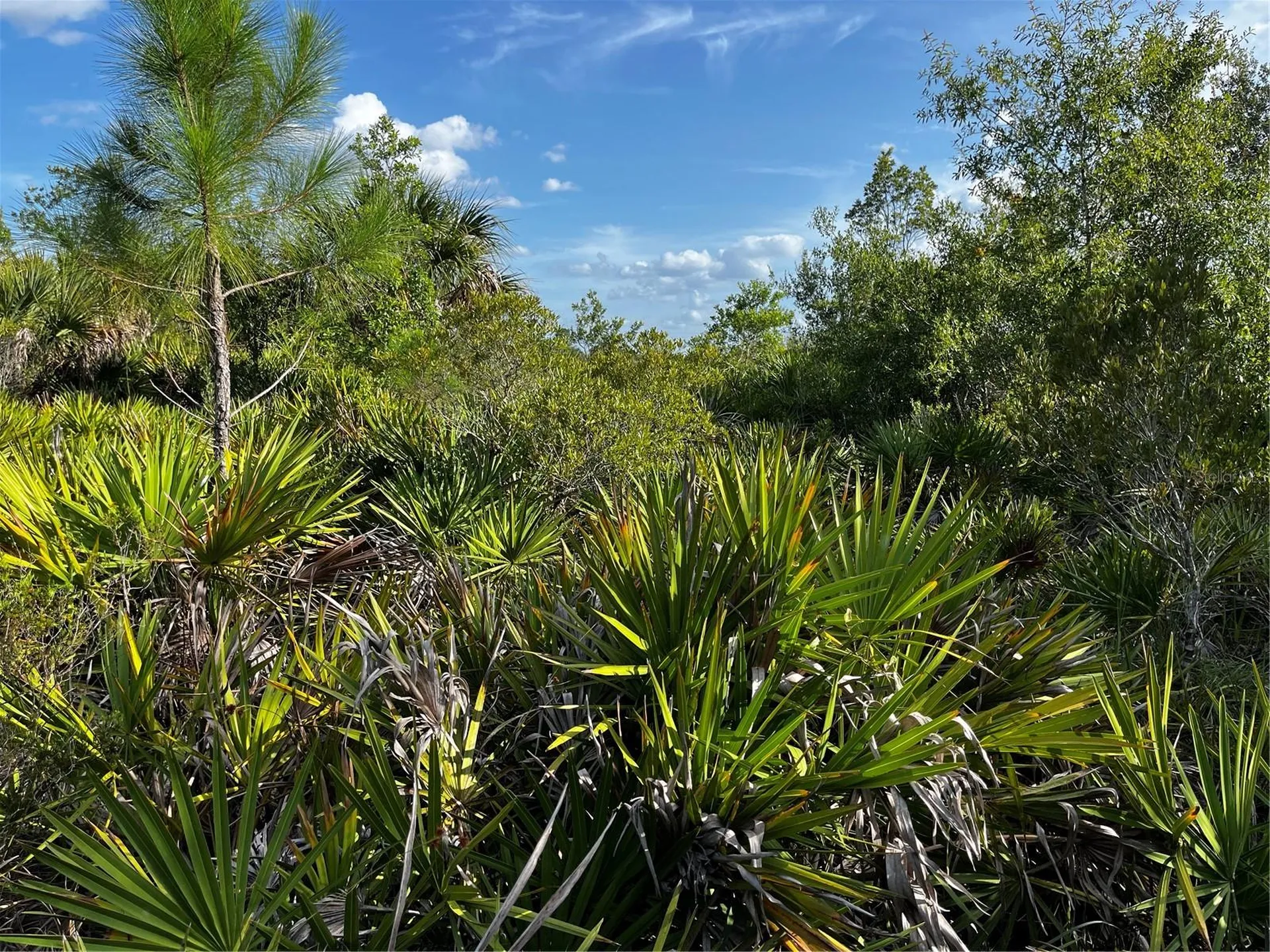 50204 Bermont Road Punta Gorda FL 33982