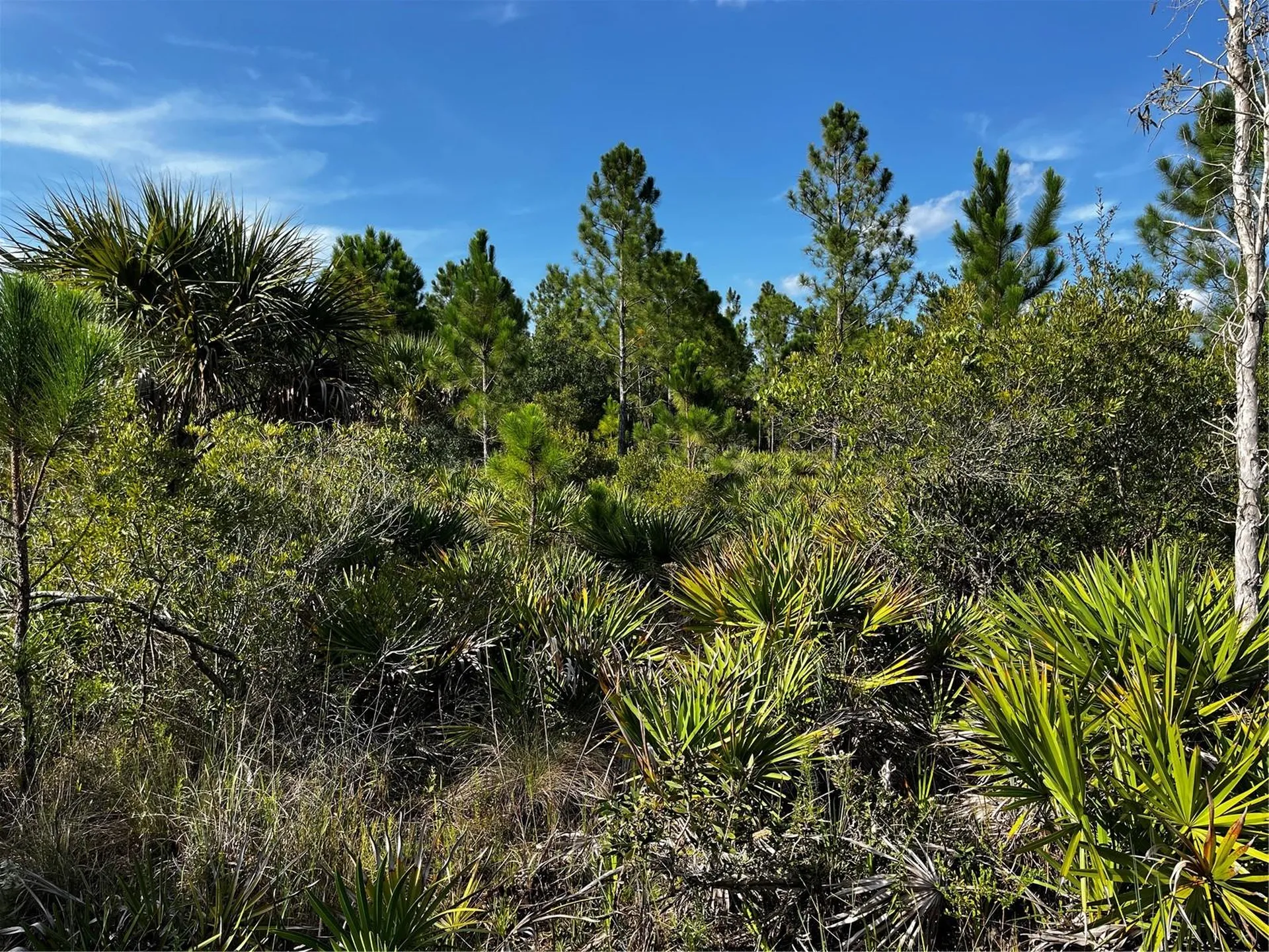 50204 Bermont Road Punta Gorda FL 33982