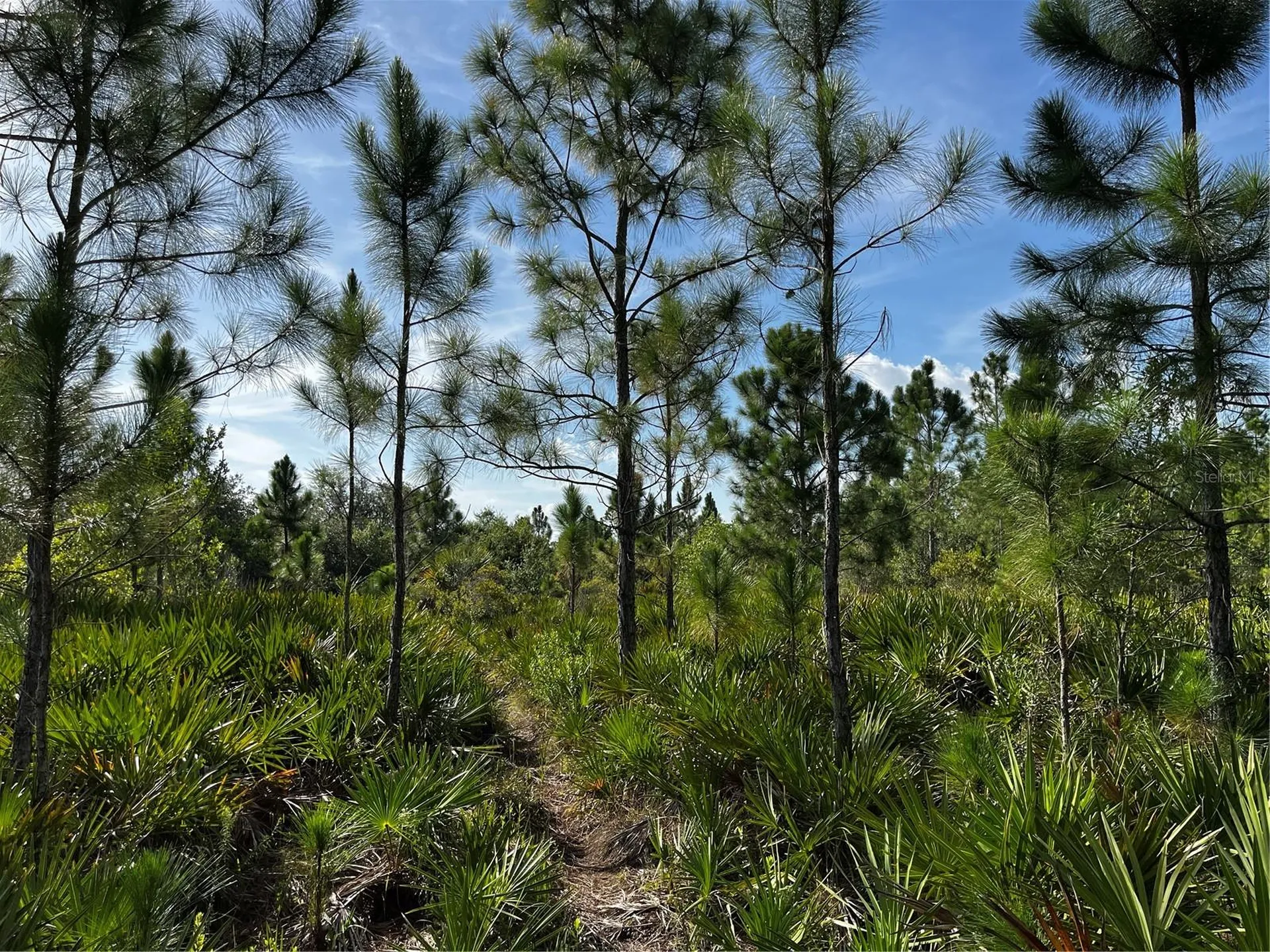 50204 Bermont Road Punta Gorda FL 33982