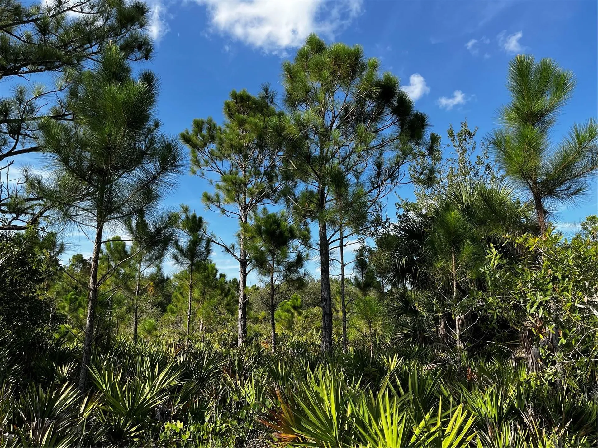 50204 Bermont Road Punta Gorda FL 33982