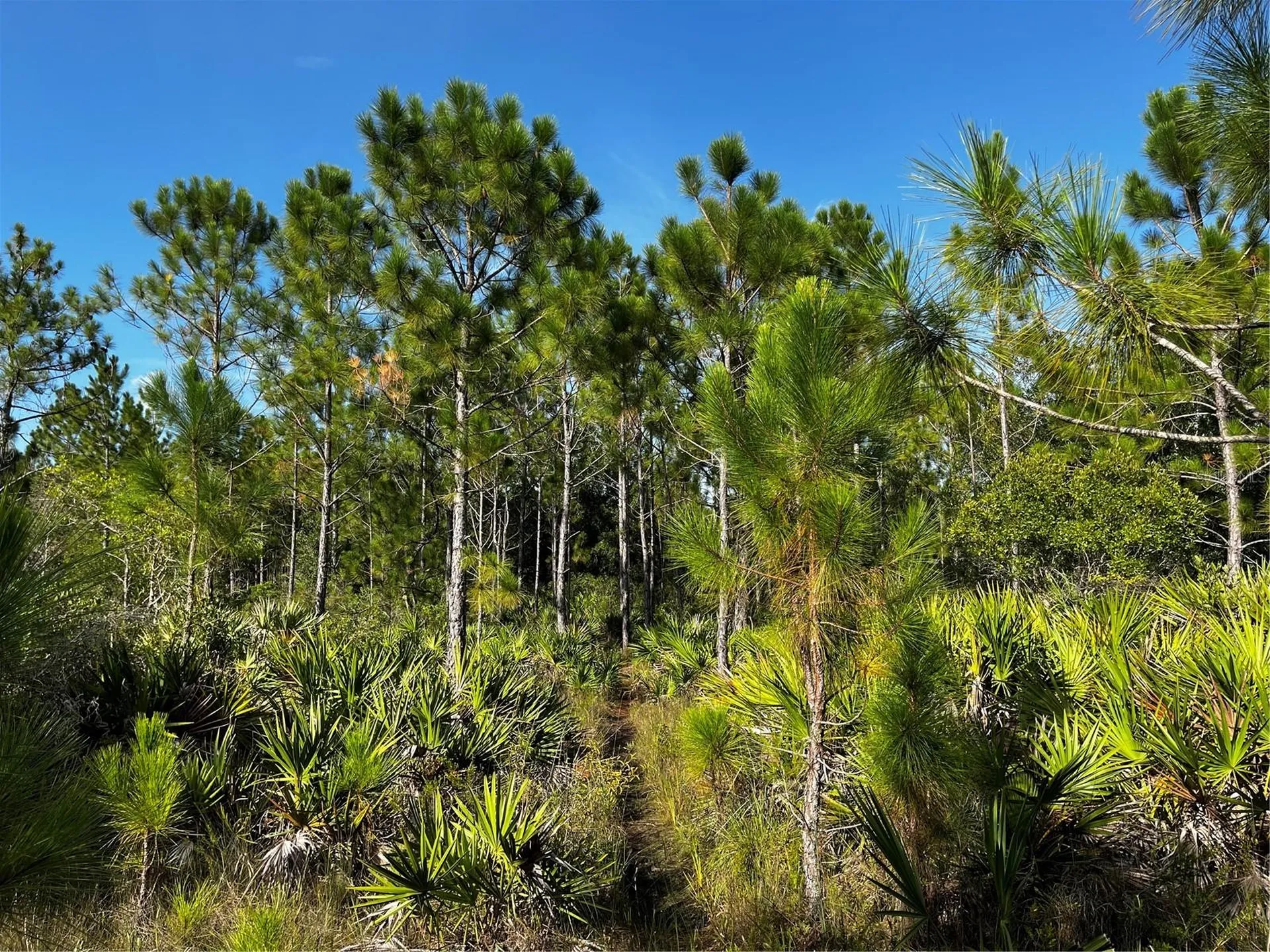 50204 Bermont Road Punta Gorda FL 33982
