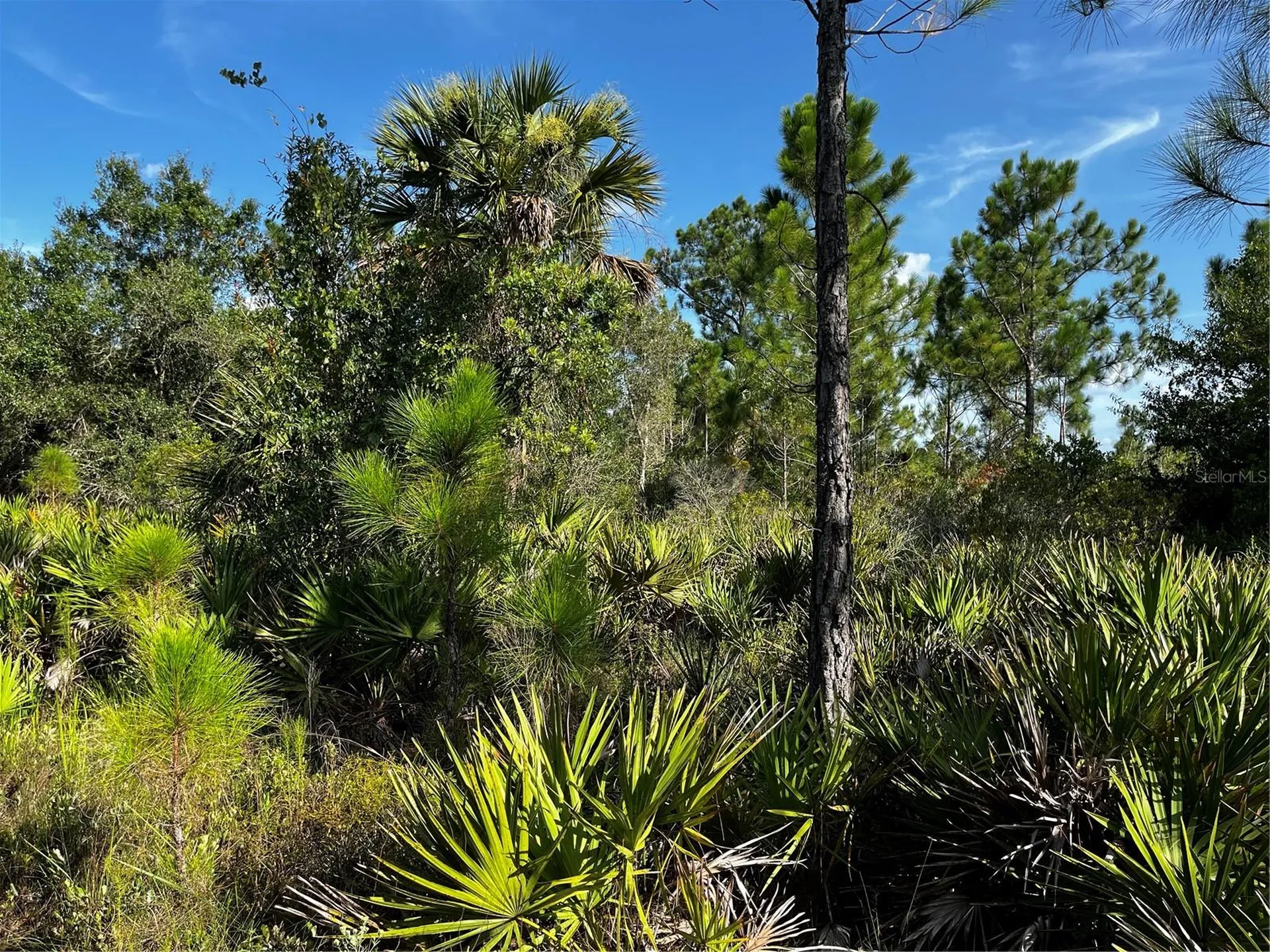 50204 Bermont Road Punta Gorda FL 33982