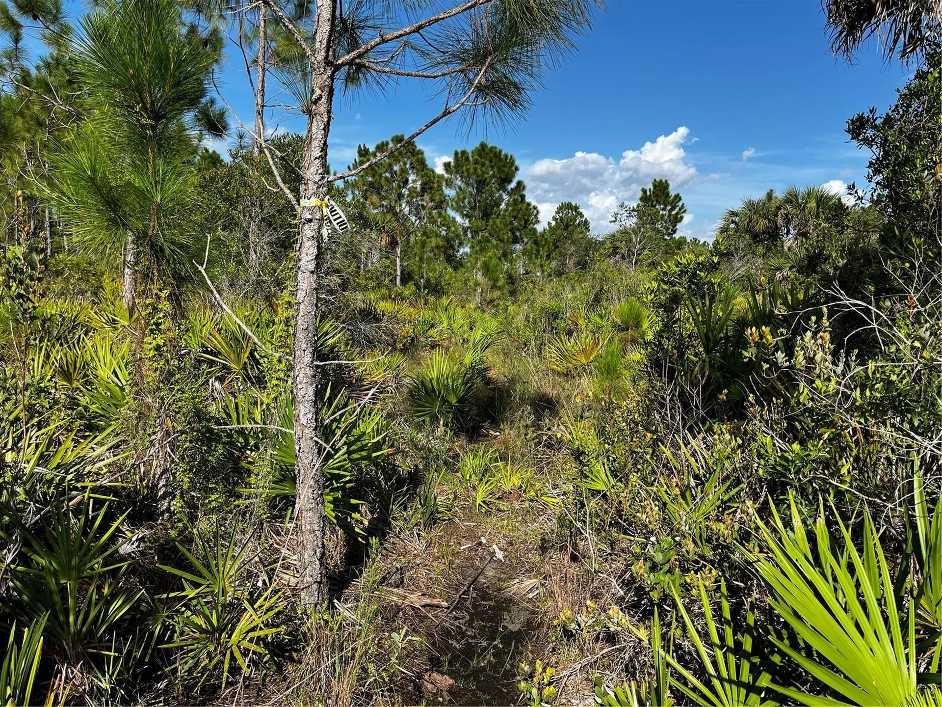 50204 Bermont Road Punta Gorda FL 33982