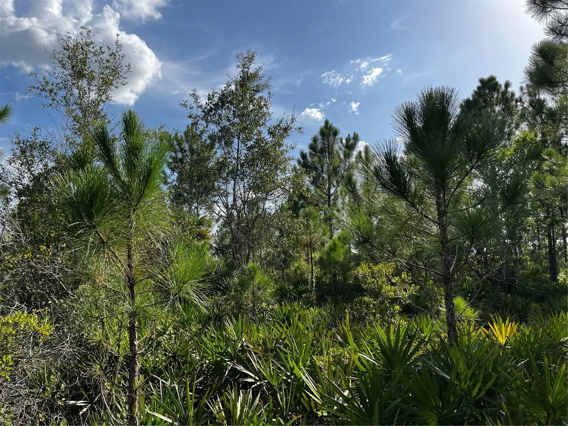 50204 Bermont Road Punta Gorda FL 33982
