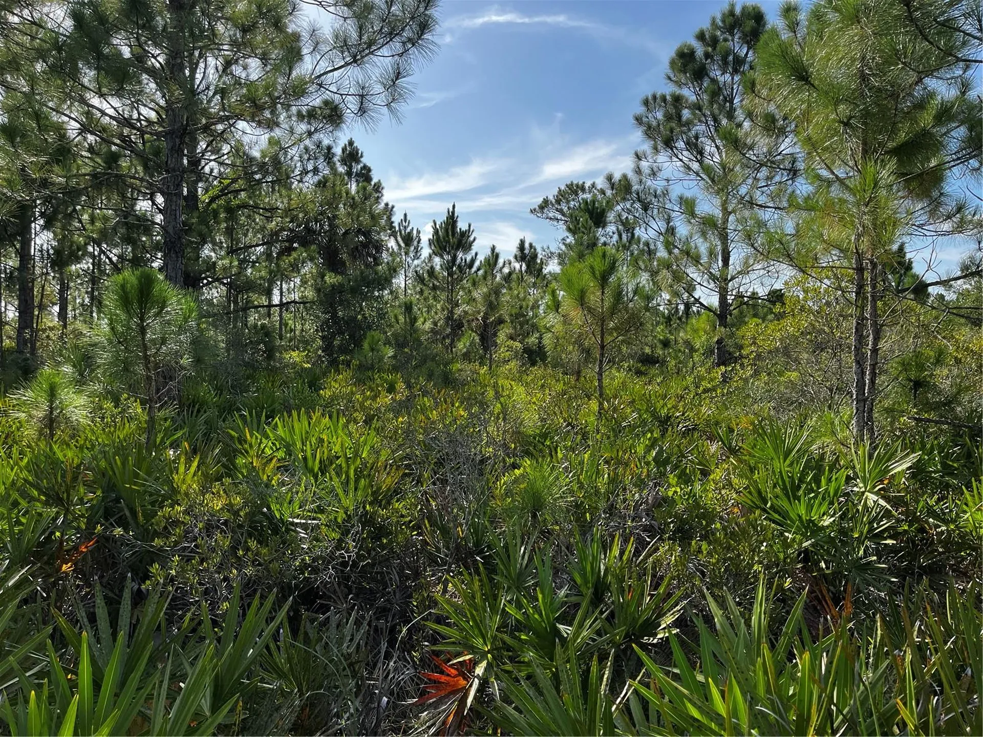 50204 Bermont Road Punta Gorda FL 33982