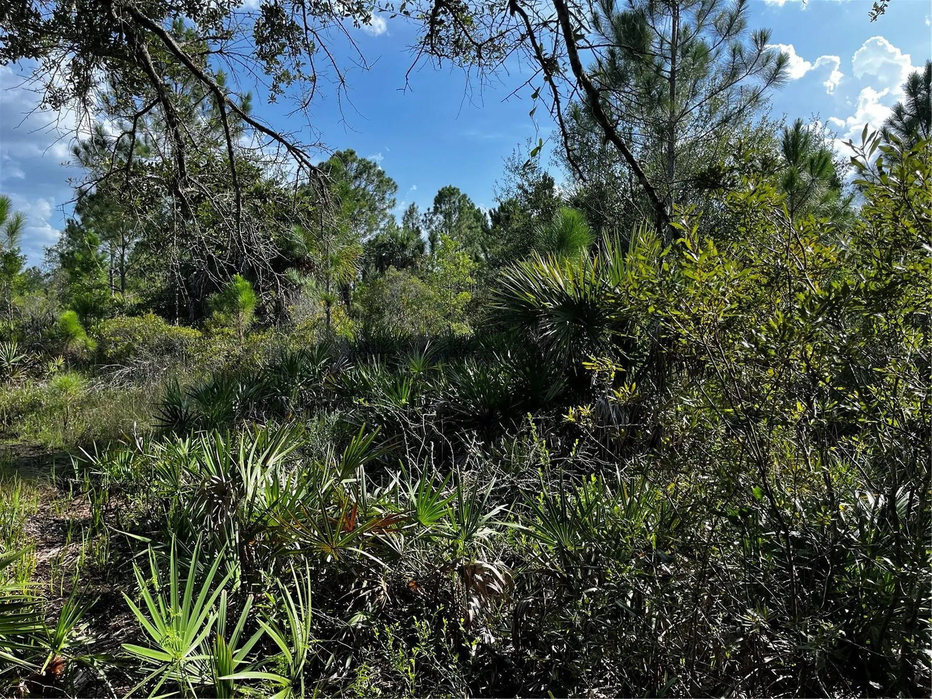 50204 Bermont Road Punta Gorda FL 33982