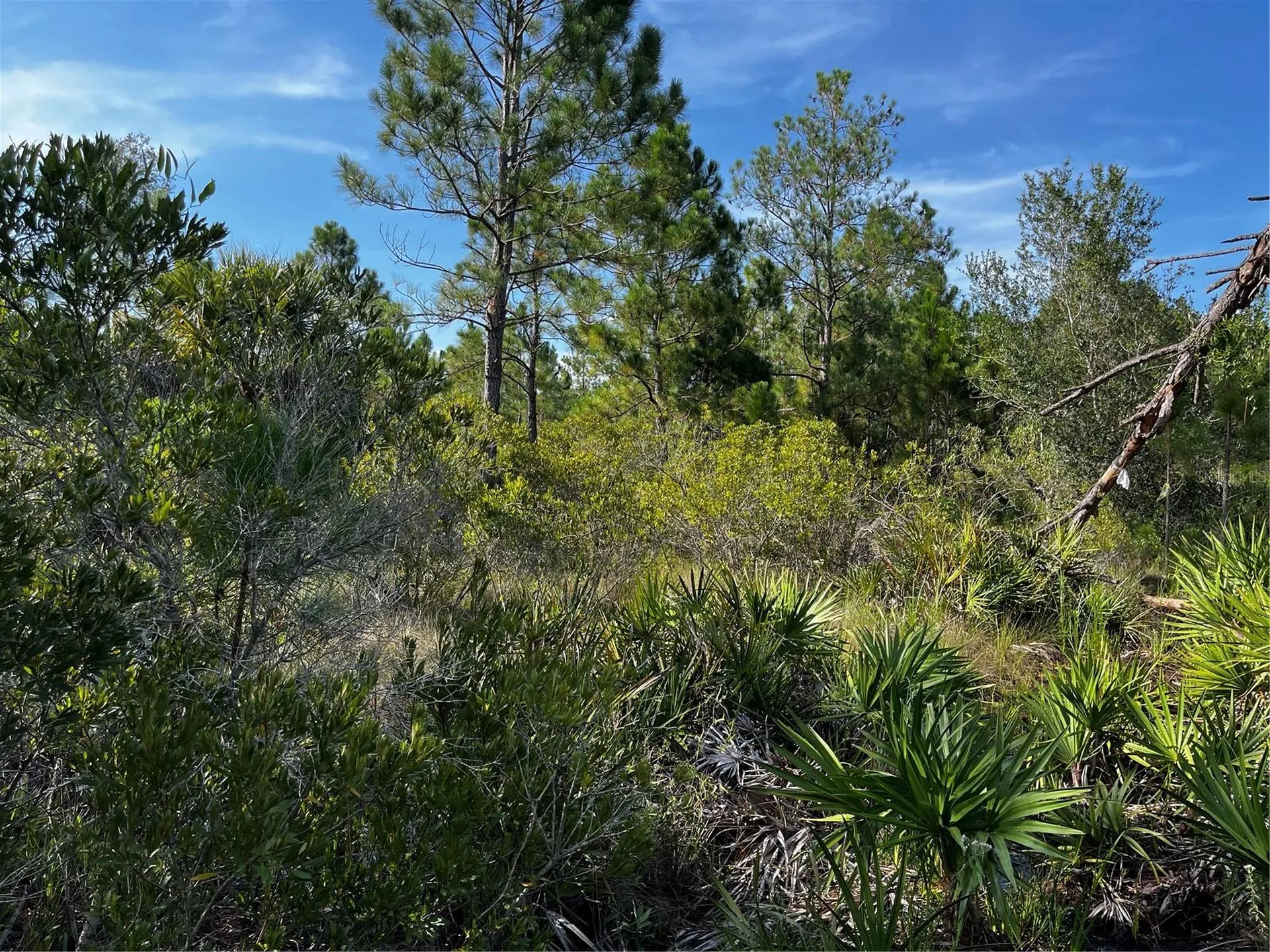 50204 Bermont Road Punta Gorda FL 33982