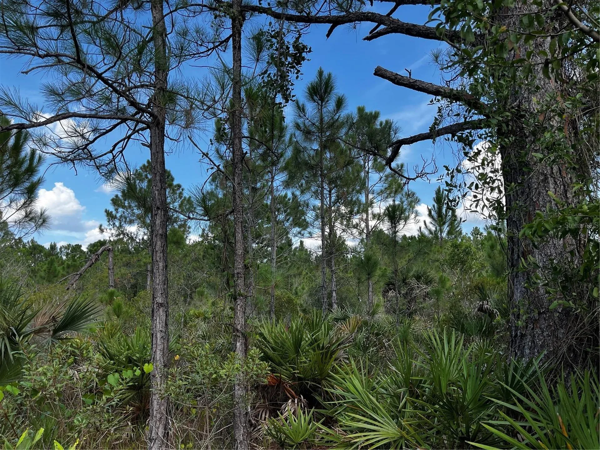 50204 Bermont Road Punta Gorda FL 33982