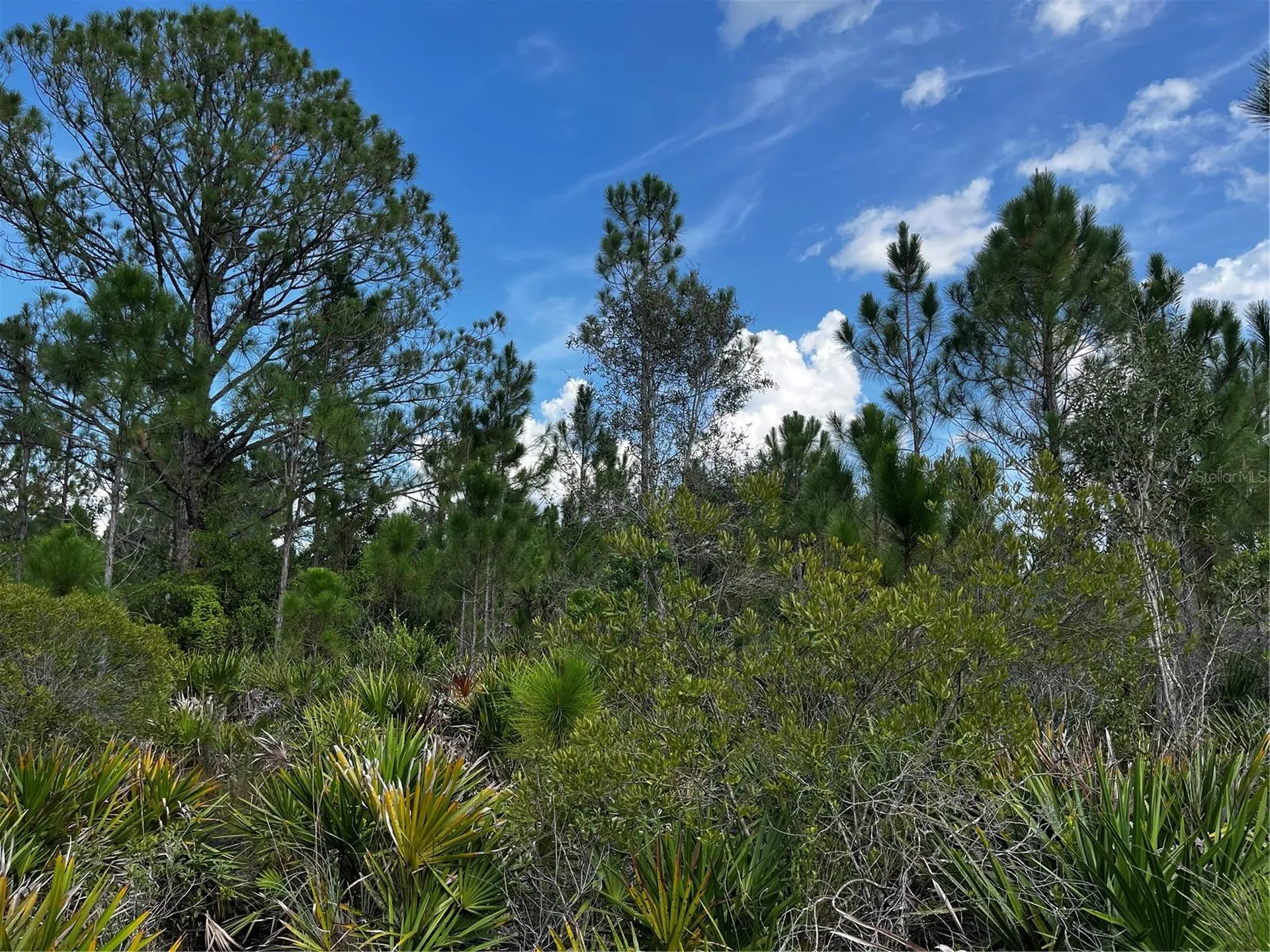 50204 Bermont Road Punta Gorda FL 33982