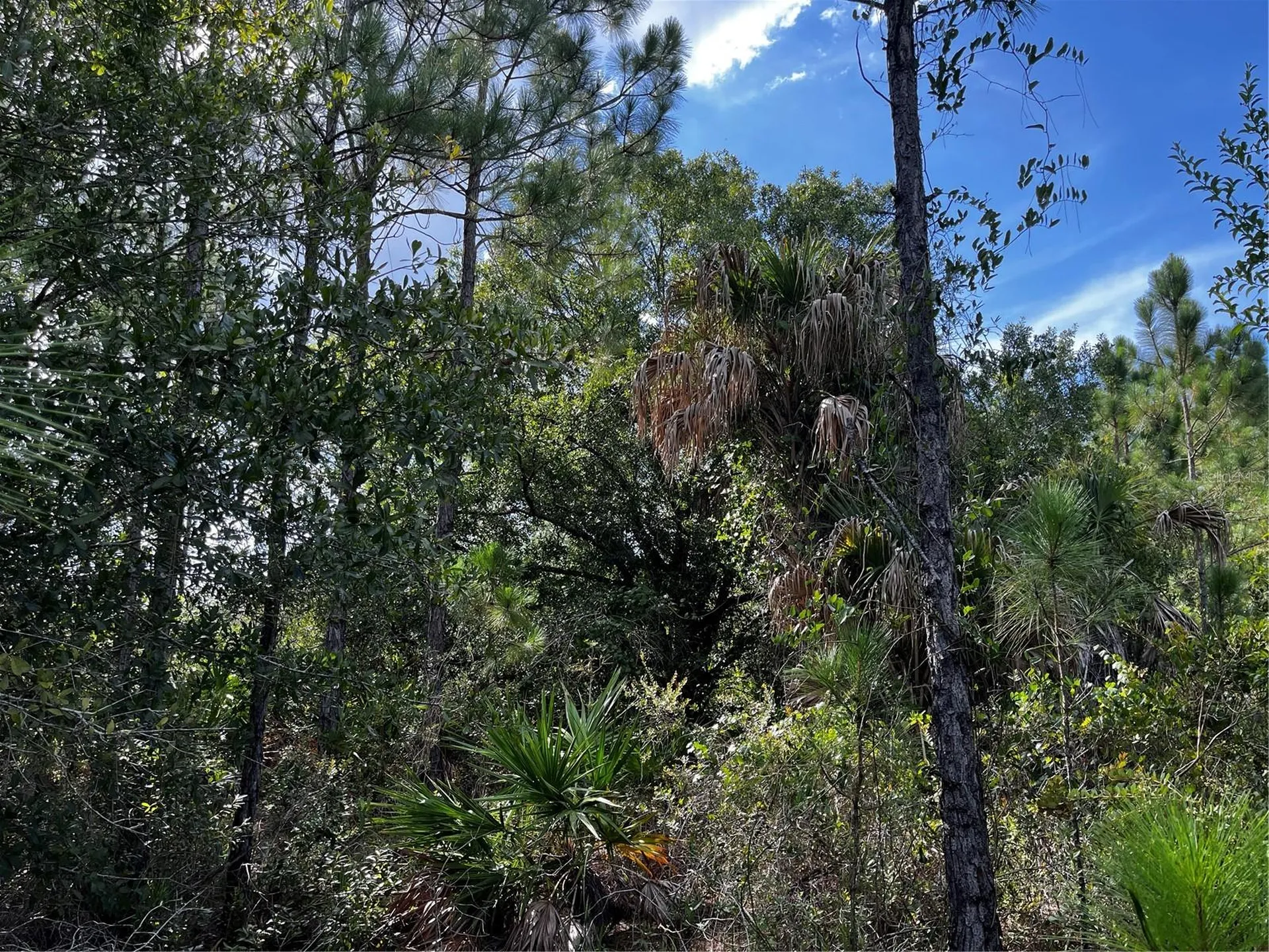 50204 Bermont Road Punta Gorda FL 33982