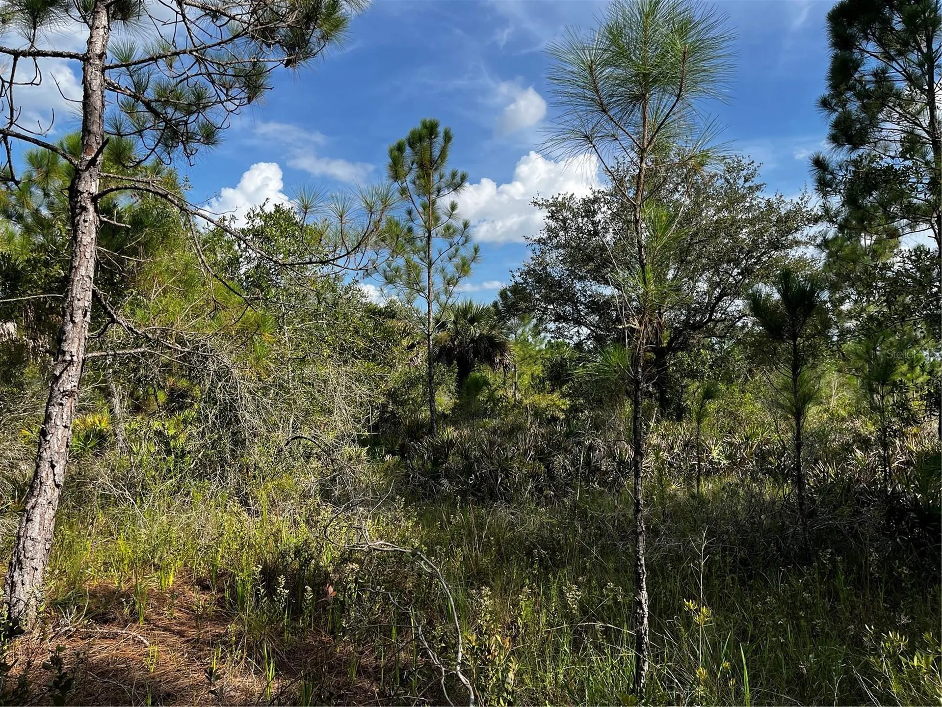 50204 Bermont Road Punta Gorda FL 33982