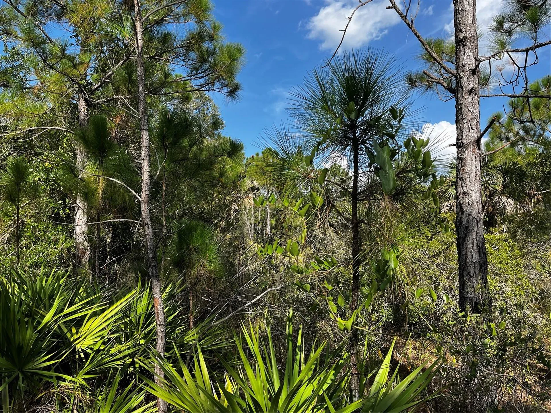 50204 Bermont Road Punta Gorda FL 33982