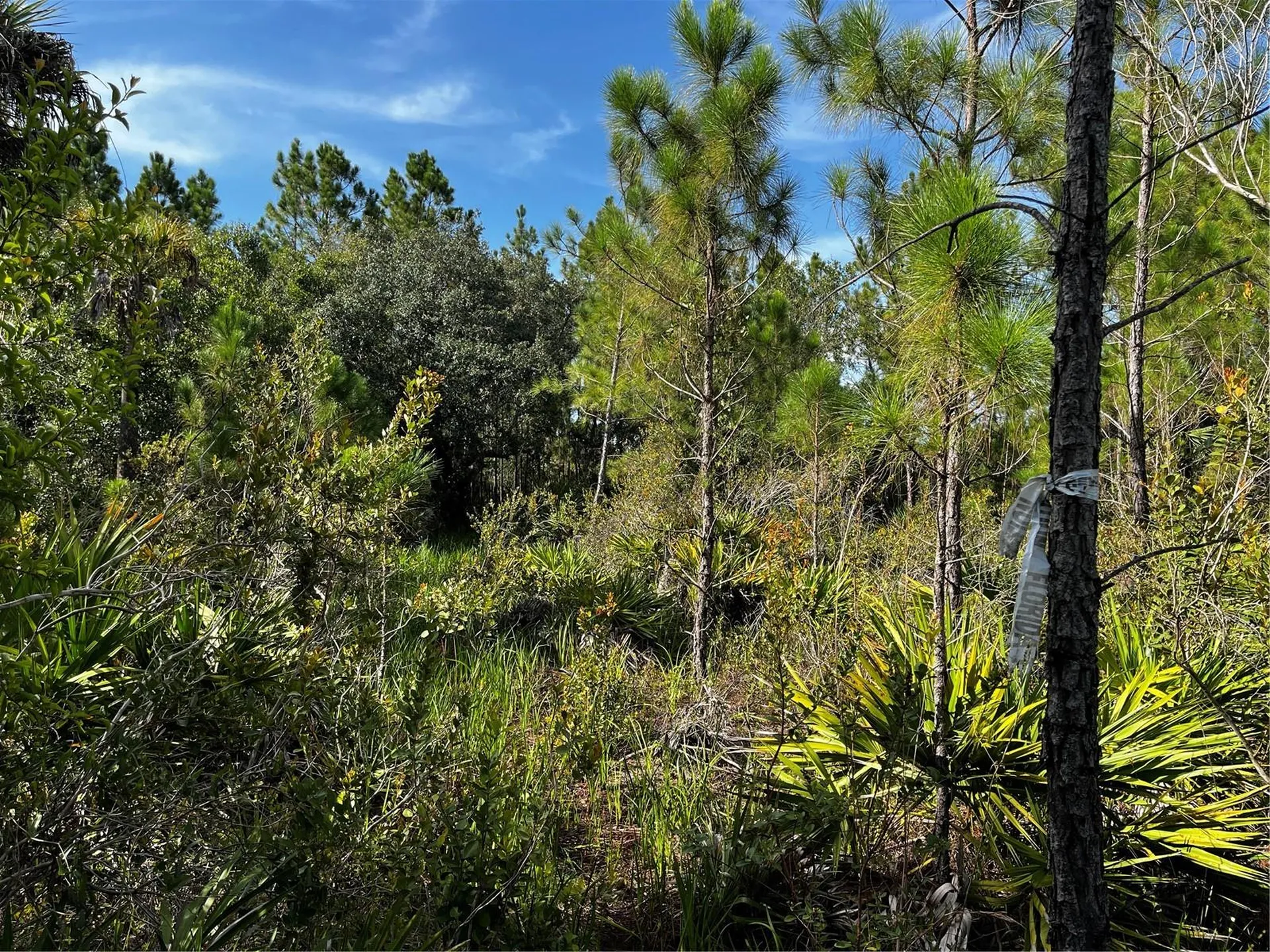 50204 Bermont Road Punta Gorda FL 33982