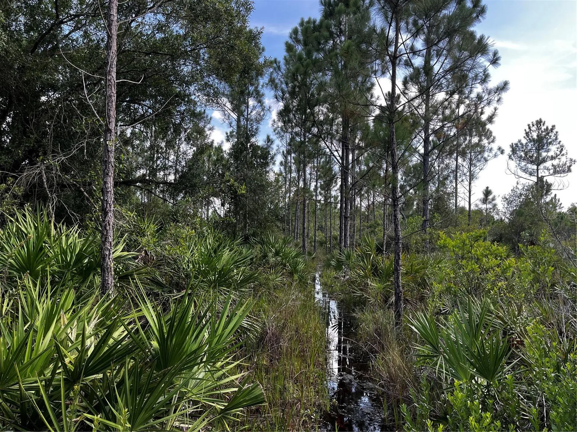 50204 Bermont Road Punta Gorda FL 33982
