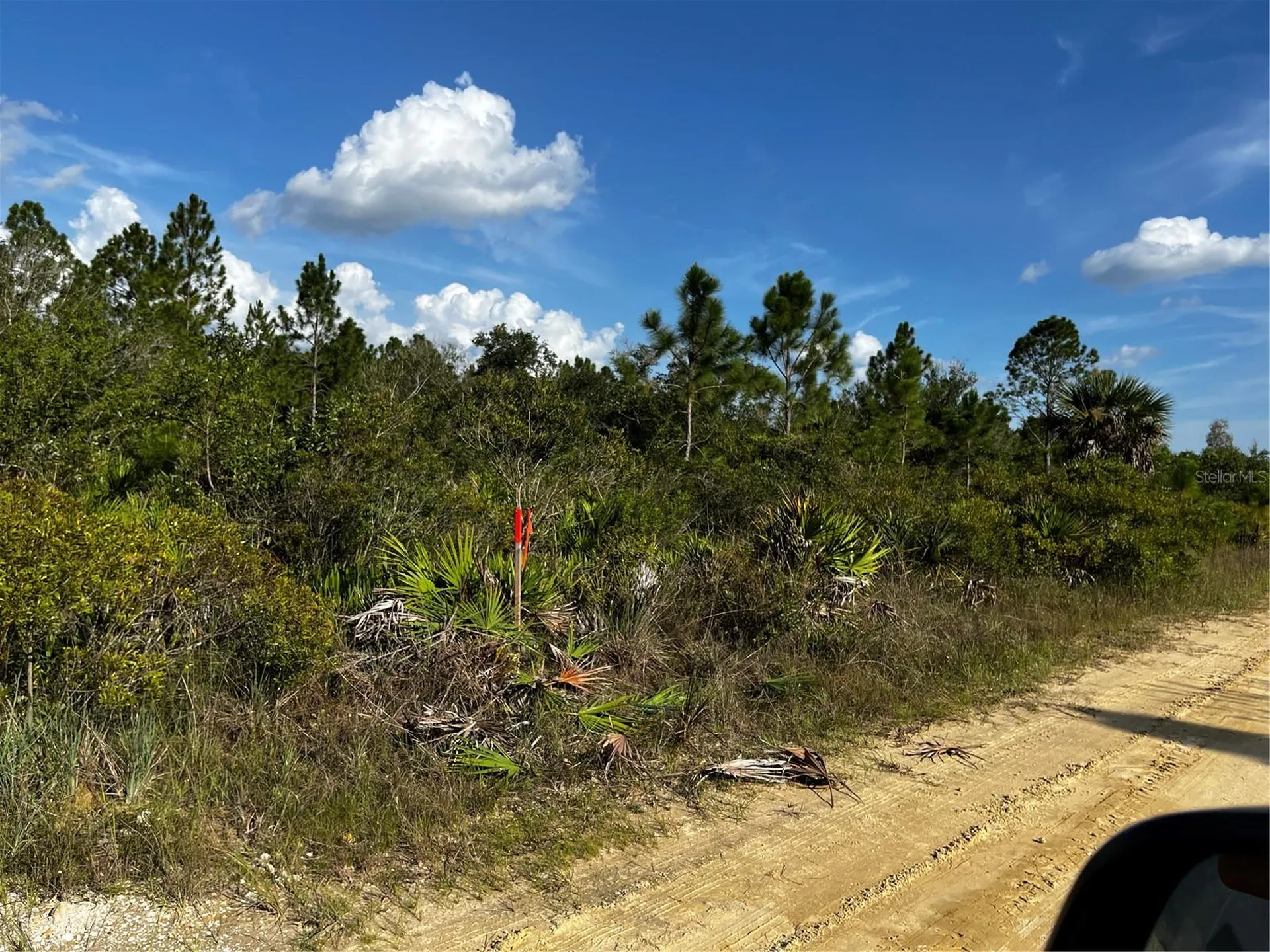 50204 Bermont Road Punta Gorda FL 33982