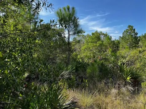 50204 Bermont Road Punta Gorda FL 33982