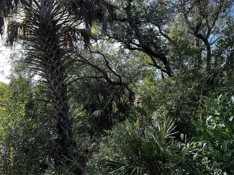 50204 Bermont Road Punta Gorda FL 33982
