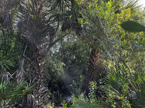 50204 Bermont Road Punta Gorda FL 33982