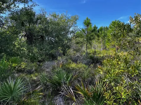 50204 Bermont Road Punta Gorda FL 33982