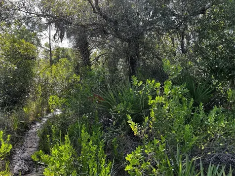 50204 Bermont Road Punta Gorda FL 33982