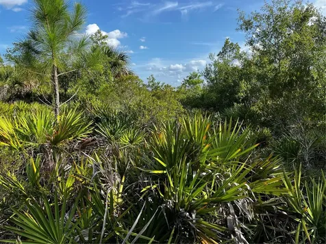 50204 Bermont Road Punta Gorda FL 33982