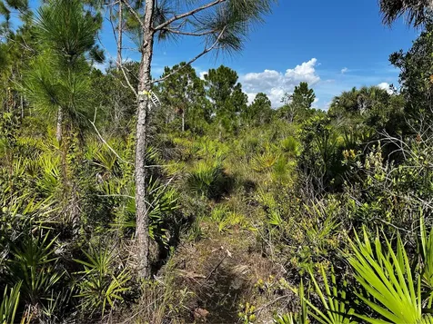 50204 Bermont Road Punta Gorda FL 33982