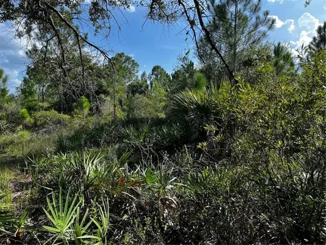 50204 Bermont Road Punta Gorda FL 33982