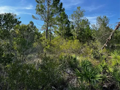 50204 Bermont Road Punta Gorda FL 33982