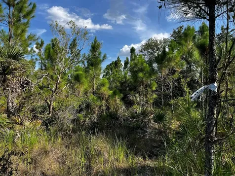 50204 Bermont Road Punta Gorda FL 33982