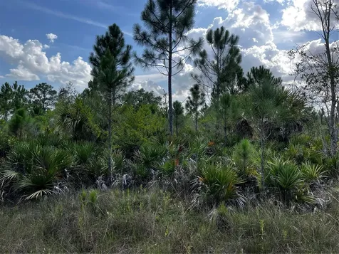 50204 Bermont Road Punta Gorda FL 33982