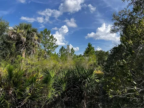 50204 Bermont Road Punta Gorda FL 33982