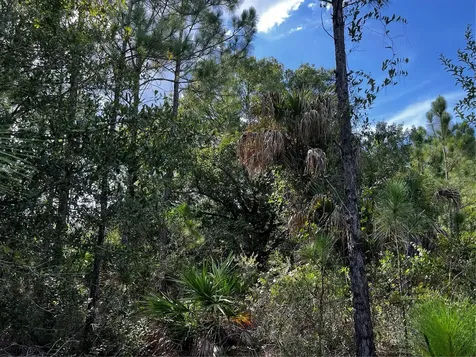 50204 Bermont Road Punta Gorda FL 33982