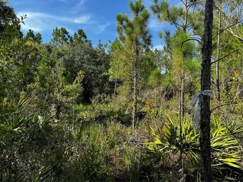 50204 Bermont Road Punta Gorda FL 33982