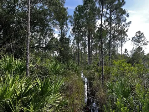 50204 Bermont Road Punta Gorda FL 33982