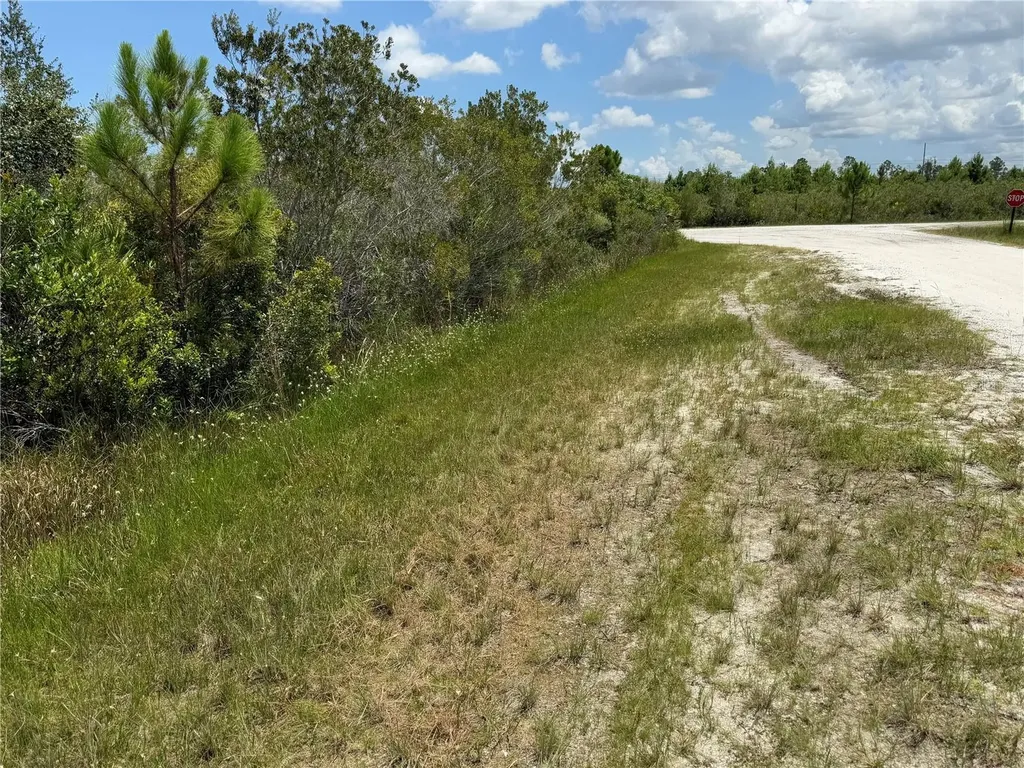 Sarasota Drive Indian Lake Estates FL 33855