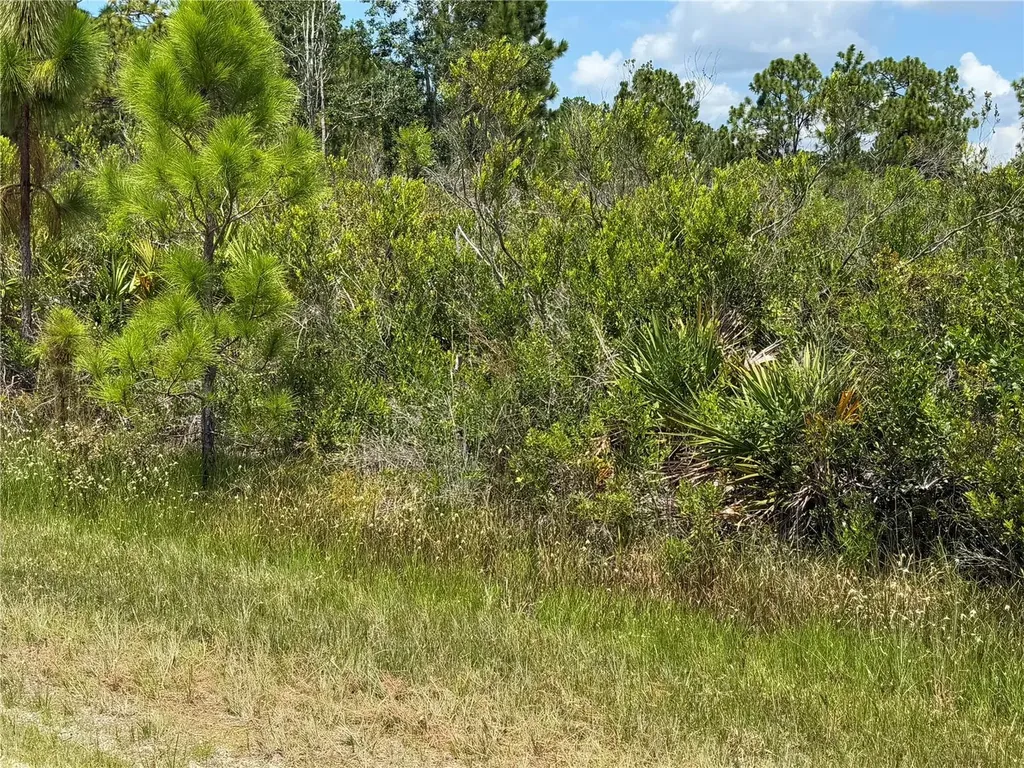 Sarasota Drive Indian Lake Estates FL 33855