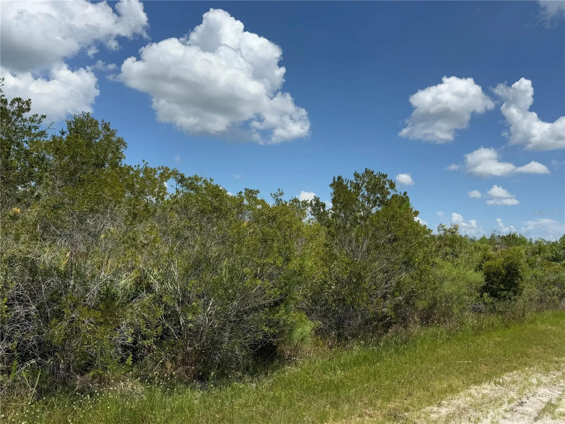 Sarasota Drive Indian Lake Estates FL 33855