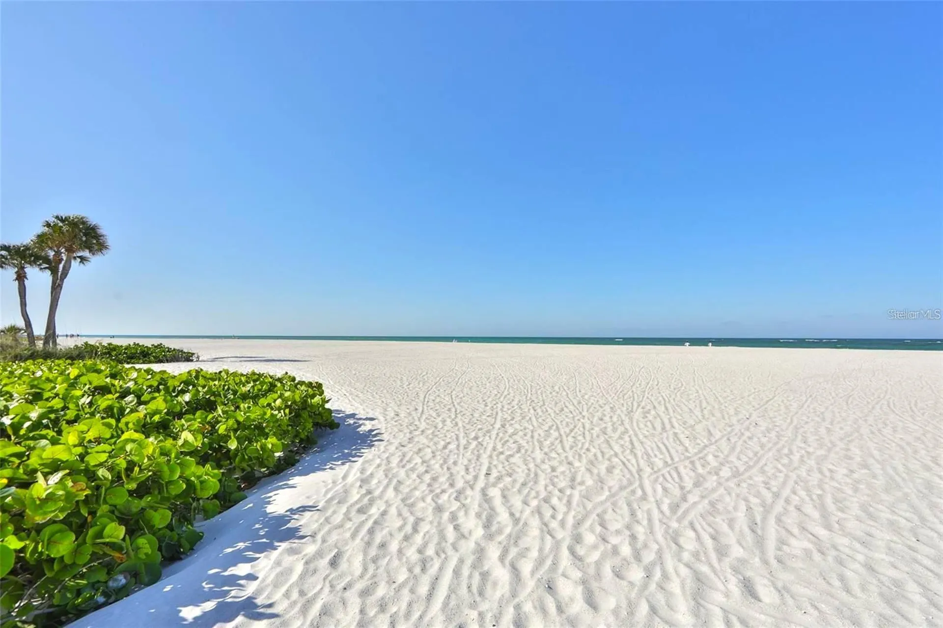 140 95th Avenue Treasure Island FL 33706